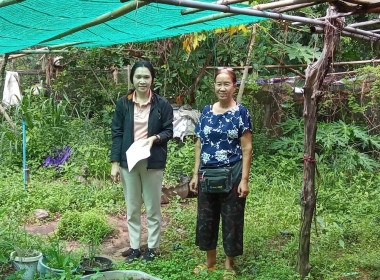 ติดตามโครงการส่งเสริมการปลูกพืชสมุนไพรในพื้นที่นิคมสหกรณ์ พารามิเตอร์รูปภาพ 2